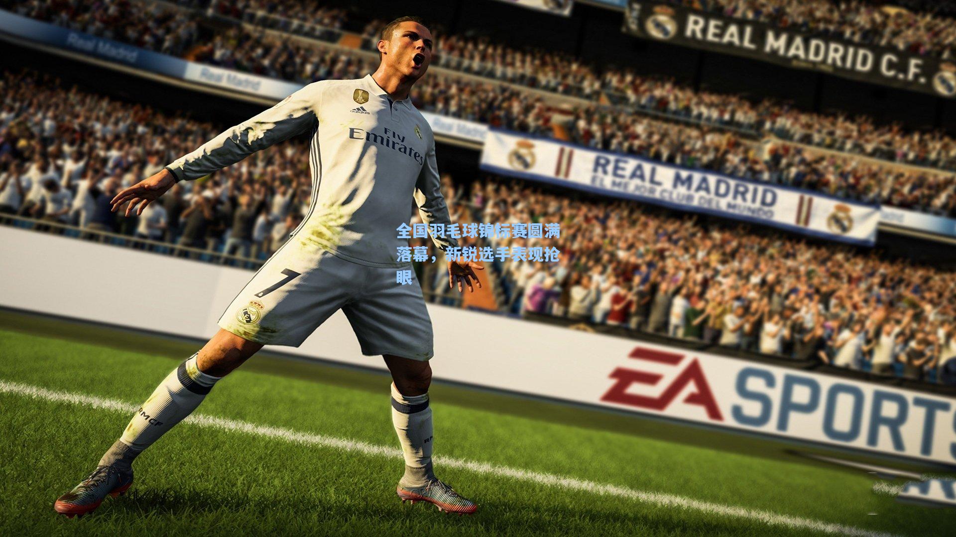 全国羽毛球锦标赛圆满落幕，新锐选手表现抢眼