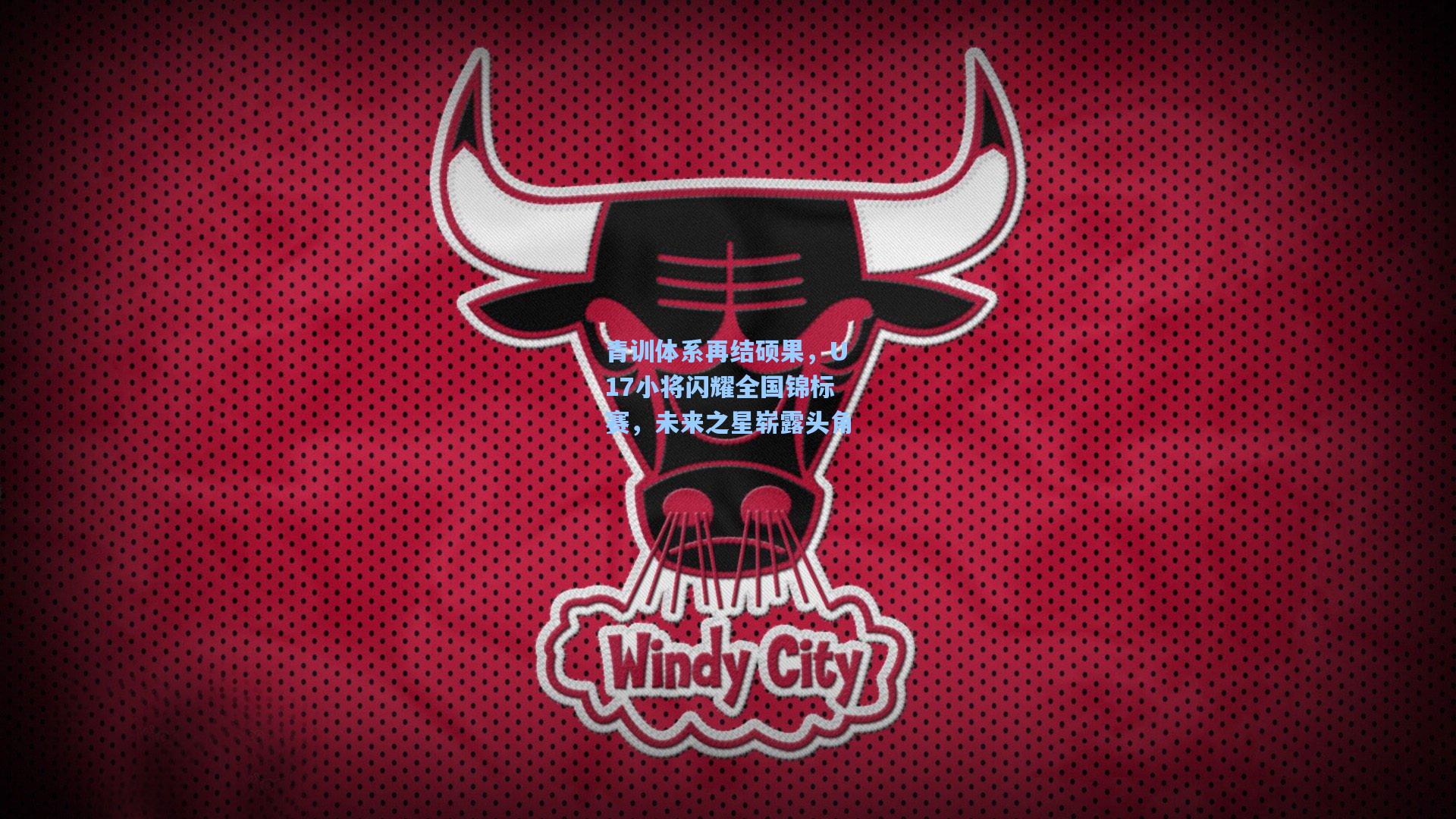 开云官网_青训体系再结硕果，U17小将闪耀全国锦标赛，未来之星崭露头角