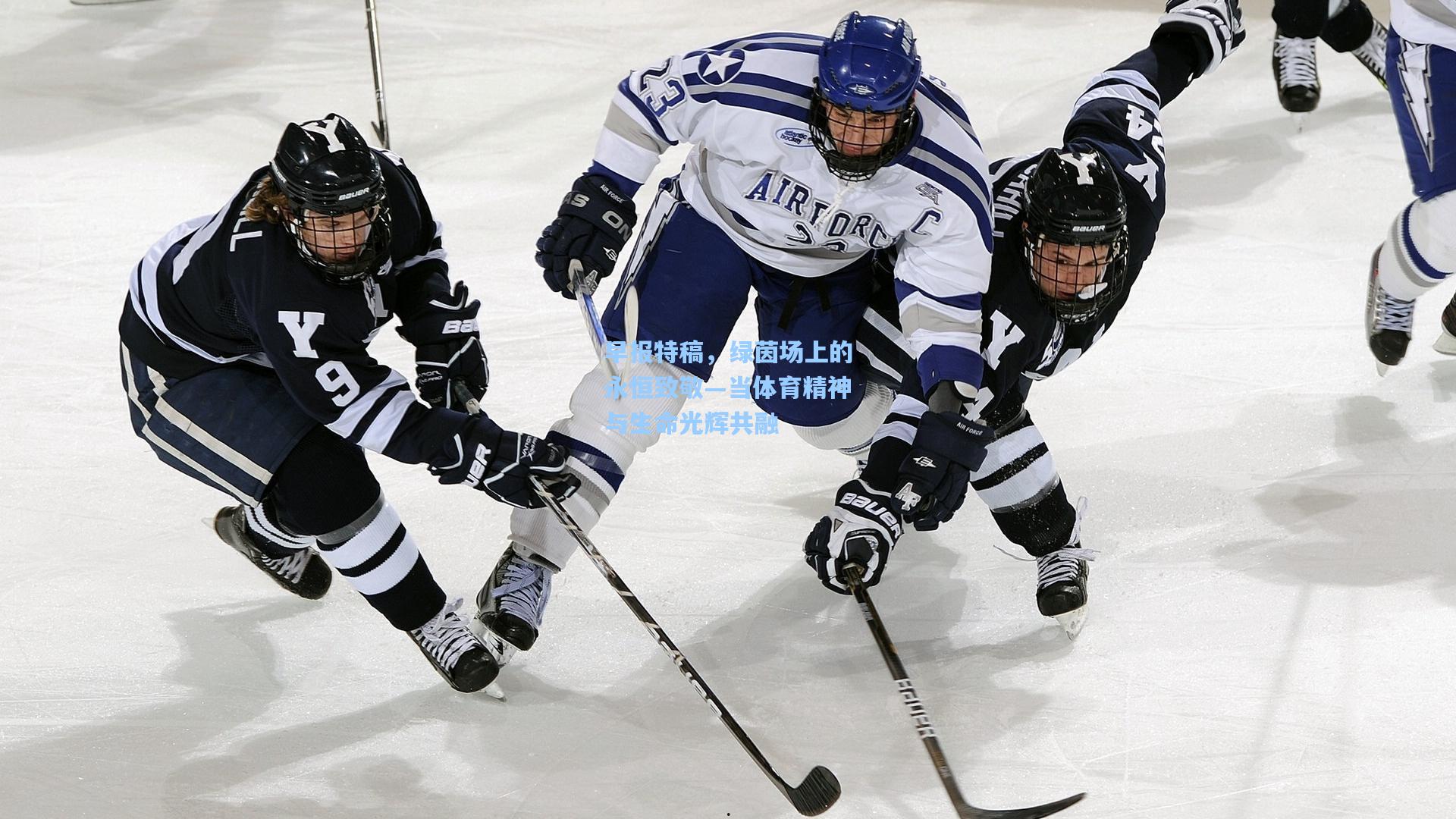 早报特稿，绿茵场上的永恒致敬—当体育精神与生命光辉共融