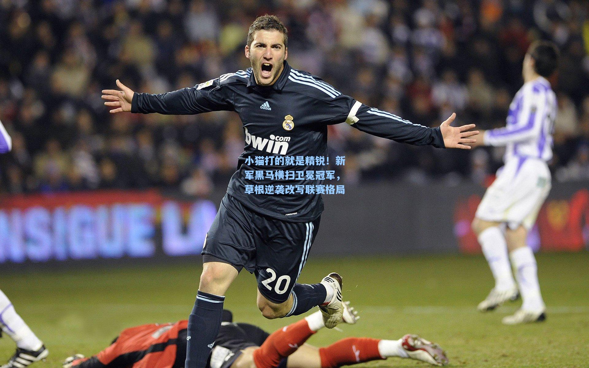 小猫打的就是精锐！新军黑马横扫卫冕冠军，草根逆袭改写联赛格局
